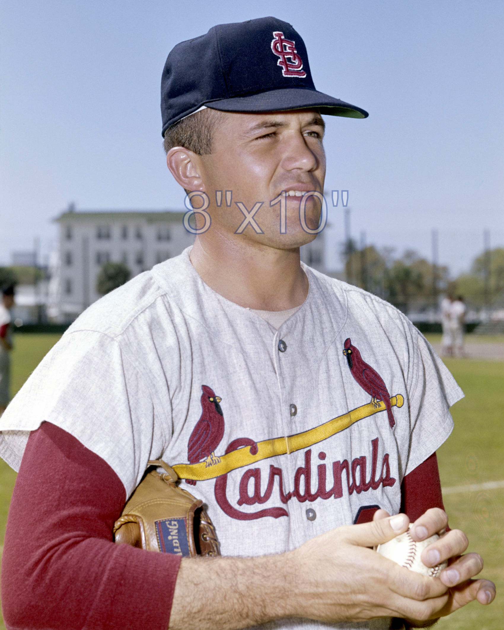 Dennis Aust - 1965 St. Louis Cardinals - choose a size & style