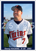 Denny Hocking - 2002 Minnesota Twins - choose a size & style