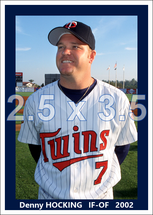 Denny Hocking - 2002 Minnesota Twins - choose a size & style