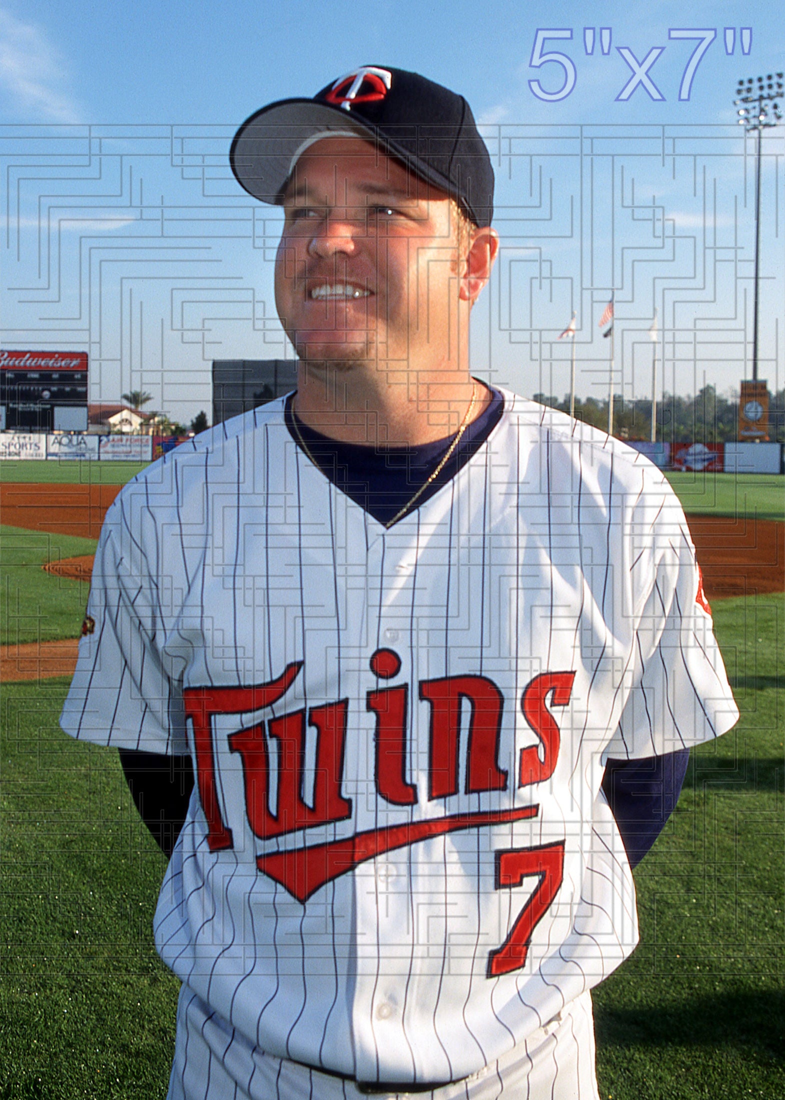 Denny Hocking - 2002 Minnesota Twins - choose a size & style
