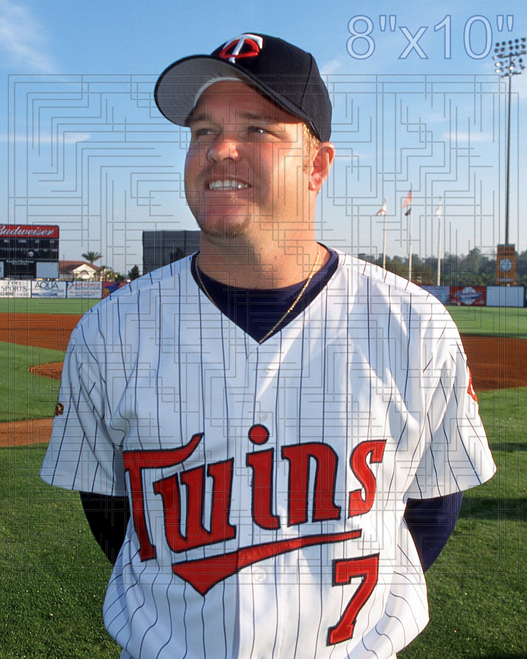 Denny Hocking - 2002 Minnesota Twins - choose a size & style
