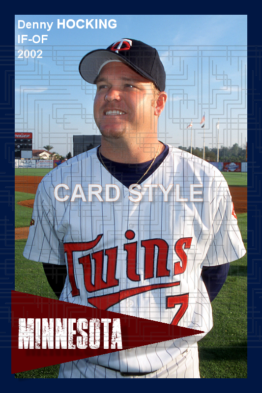 Denny Hocking - 2002 Minnesota Twins - choose a size & style