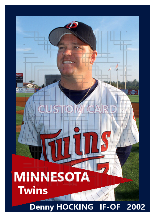 Denny Hocking - 2002 Minnesota Twins - choose a size & style