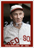 Denny Williams - 1925 Boston Red Sox - choose a size & style