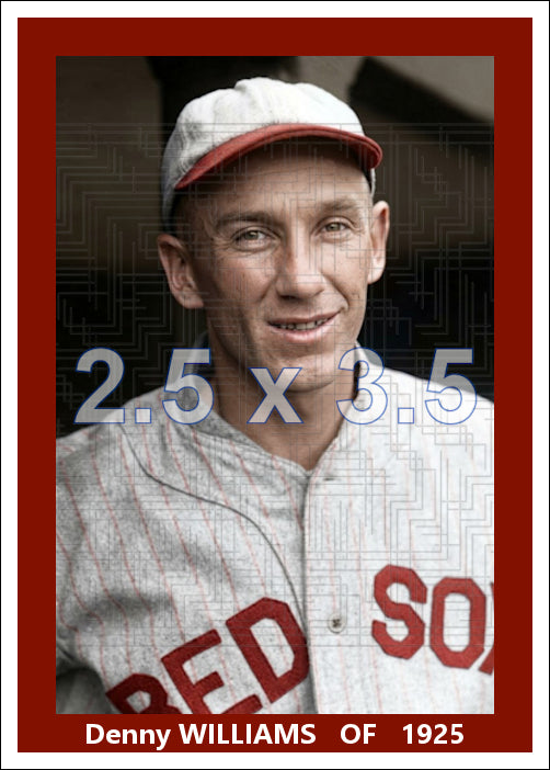 Denny Williams - 1925 Boston Red Sox - choose a size & style