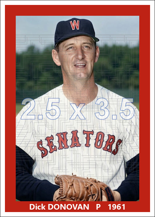 Dick Donovan - 1961 Washington Senators - choose a size & style