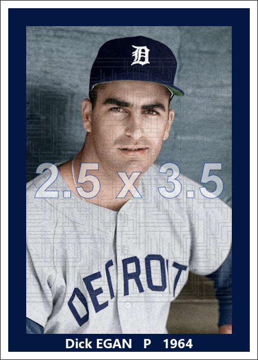 Dick Egan - 1964 Detroit Tigers - choose a size & style