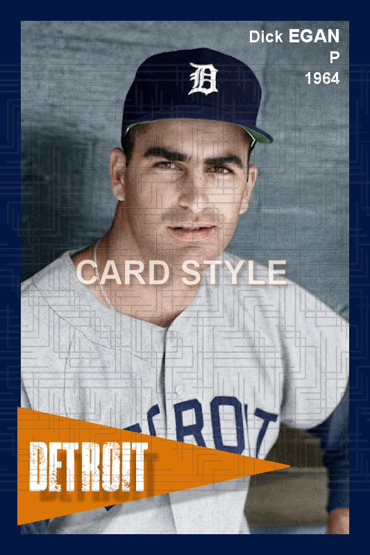 Dick Egan - 1964 Detroit Tigers - choose a size & style