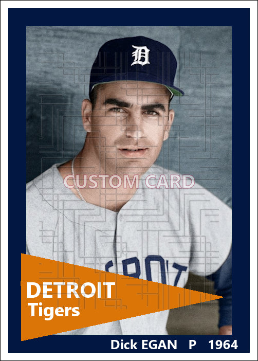 Dick Egan - 1964 Detroit Tigers - choose a size & style