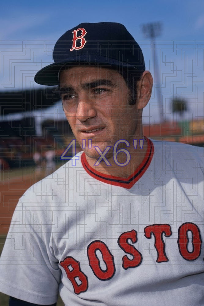 Dick McAuliffe - 1974 Boston Red Sox - choose a size & style