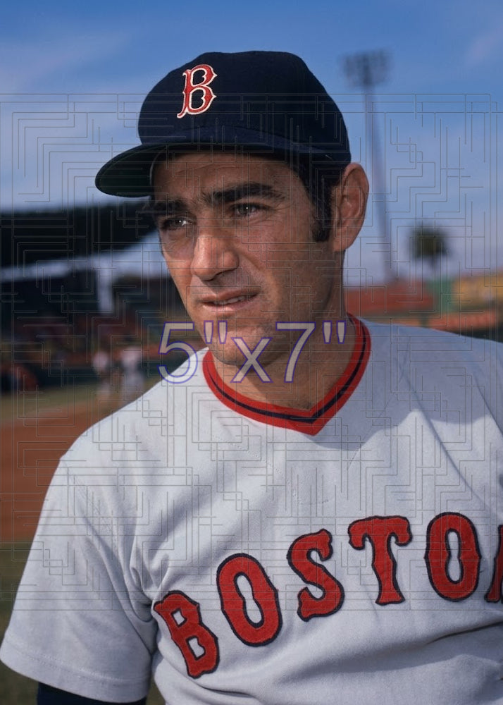Dick McAuliffe - 1974 Boston Red Sox - choose a size & style