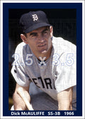 Dick McAuliffe - 1966 Detroit Tigers - choose a size & style