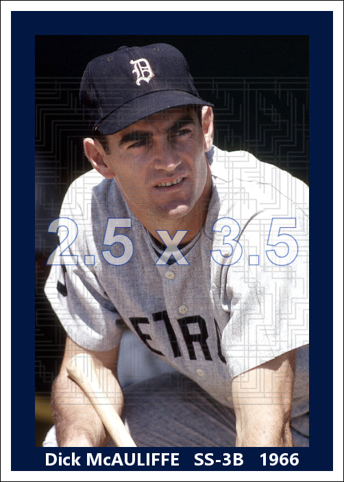 Dick McAuliffe - 1966 Detroit Tigers - choose a size & style