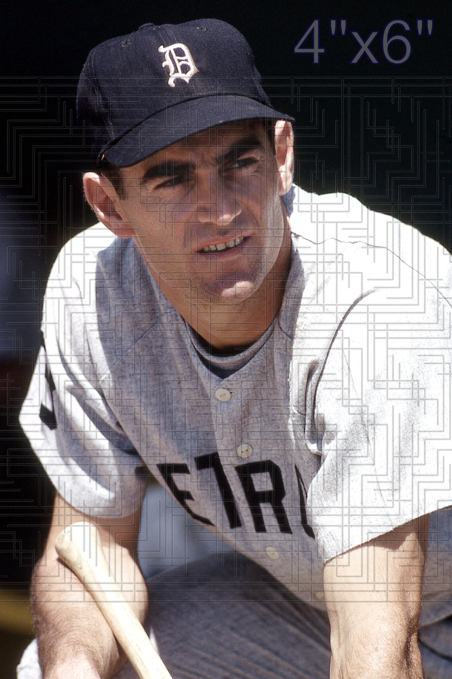 Dick McAuliffe - 1966 Detroit Tigers - choose a size & style