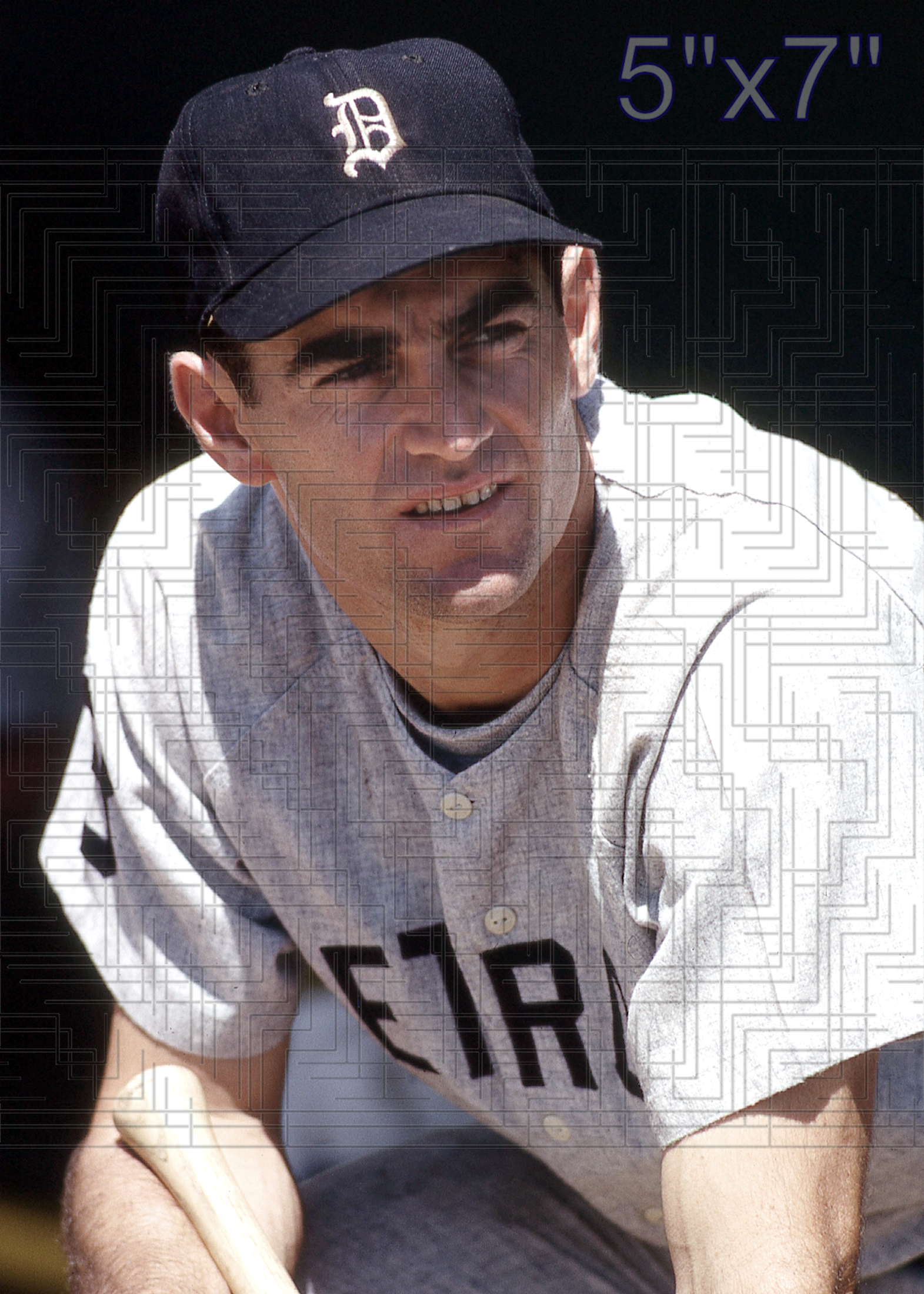 Dick McAuliffe - 1966 Detroit Tigers - choose a size & style