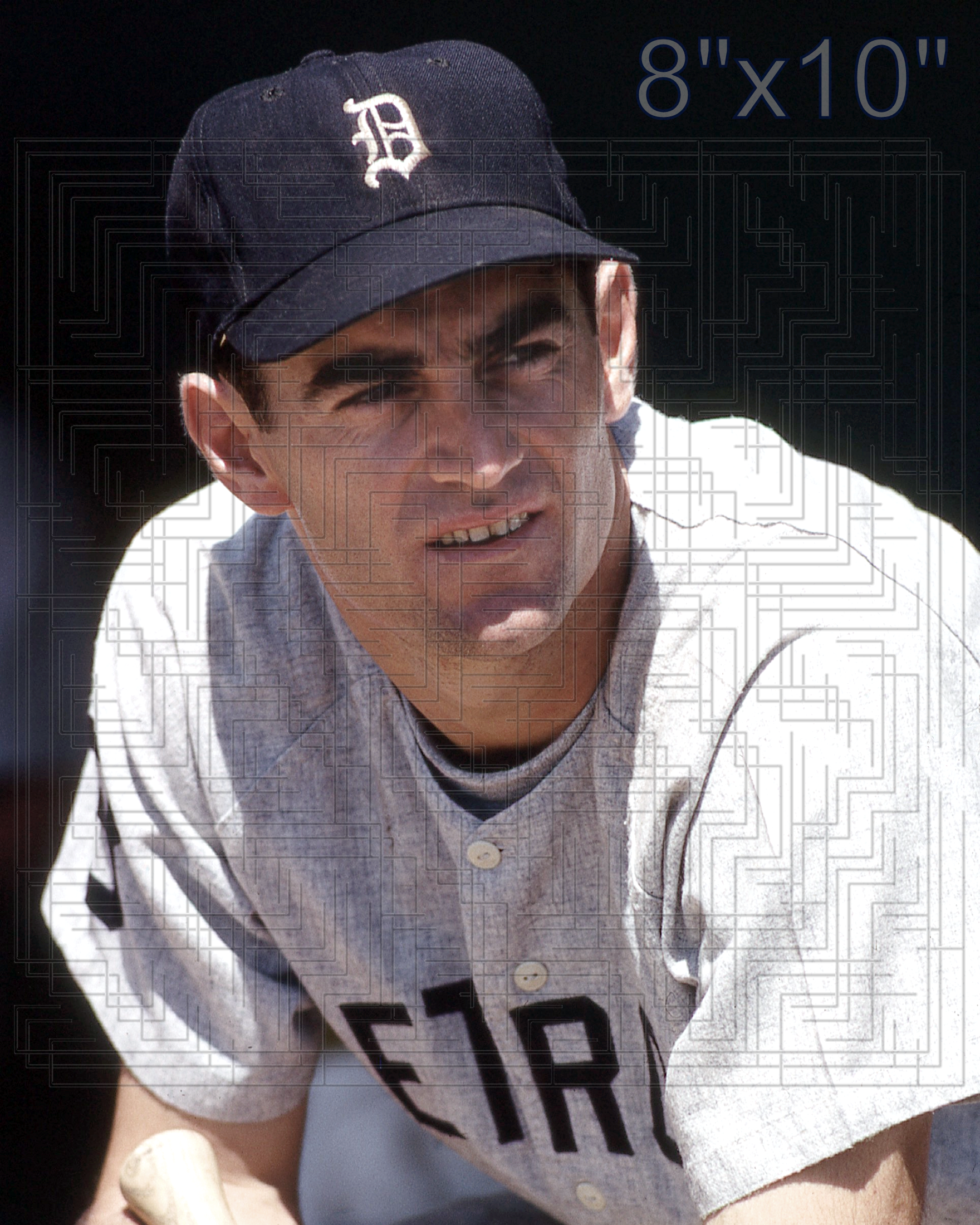 Dick McAuliffe - 1966 Detroit Tigers - choose a size & style