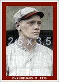 Dick Niehaus - 1913 St. Louis Cardinals - choose a size & style