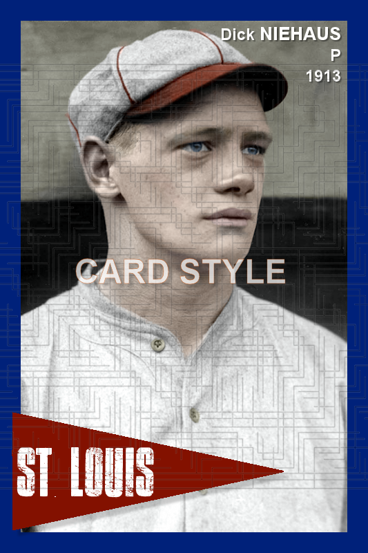 Dick Niehaus - 1913 St. Louis Cardinals - choose a size & style
