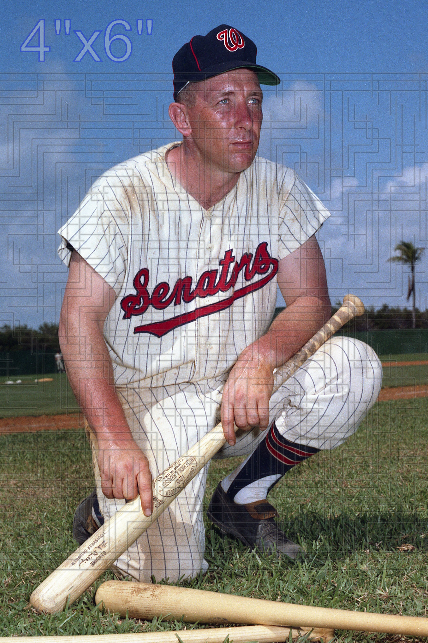 Dick Phillips - 1963 Washington Senators - choose a size & style