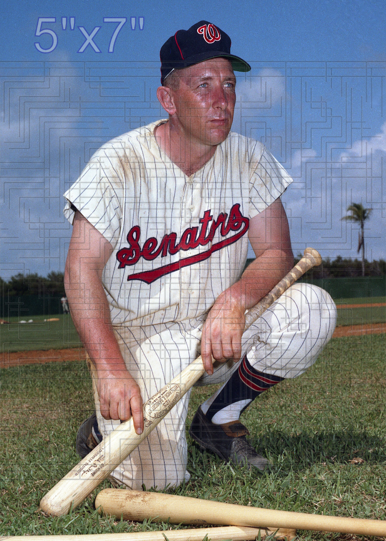 Dick Phillips - 1963 Washington Senators - choose a size & style
