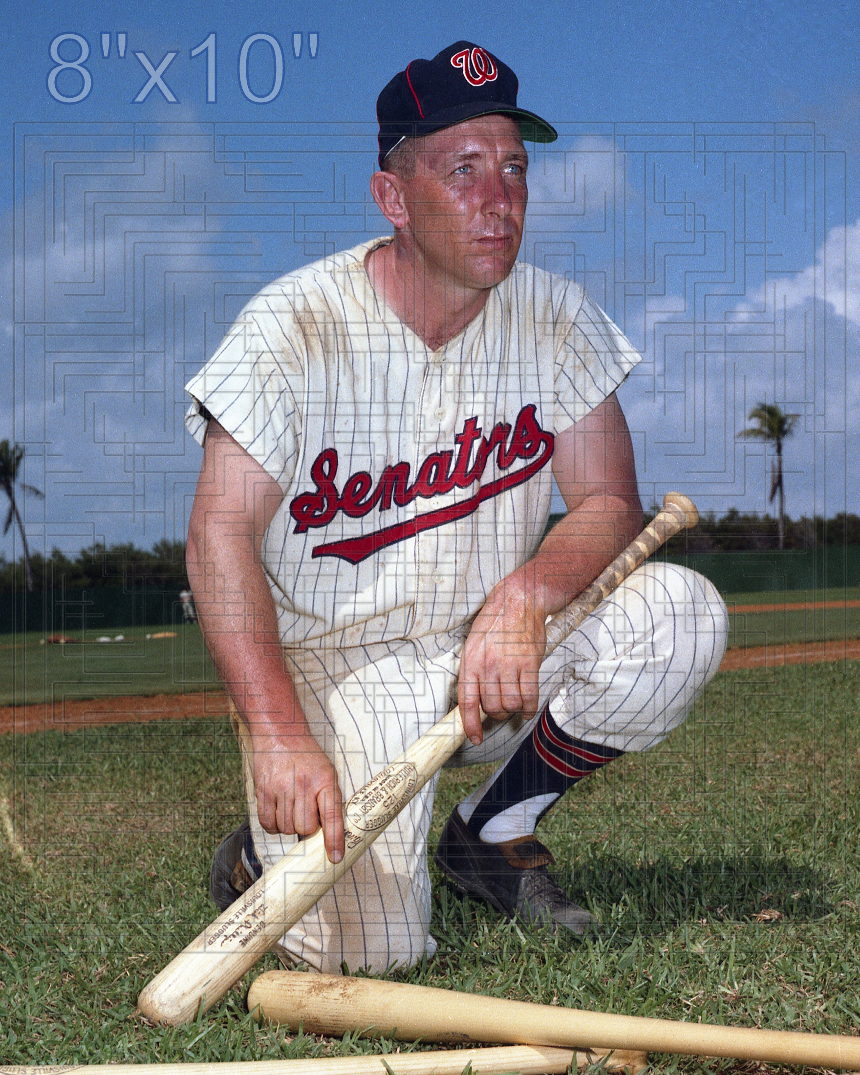 Dick Phillips - 1963 Washington Senators - choose a size & style