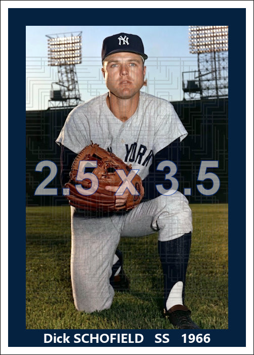 Dick Schofield - 1966 New York Yankees - choose a size & style