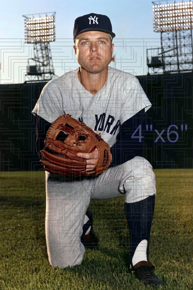 Dick Schofield - 1966 New York Yankees - choose a size & style