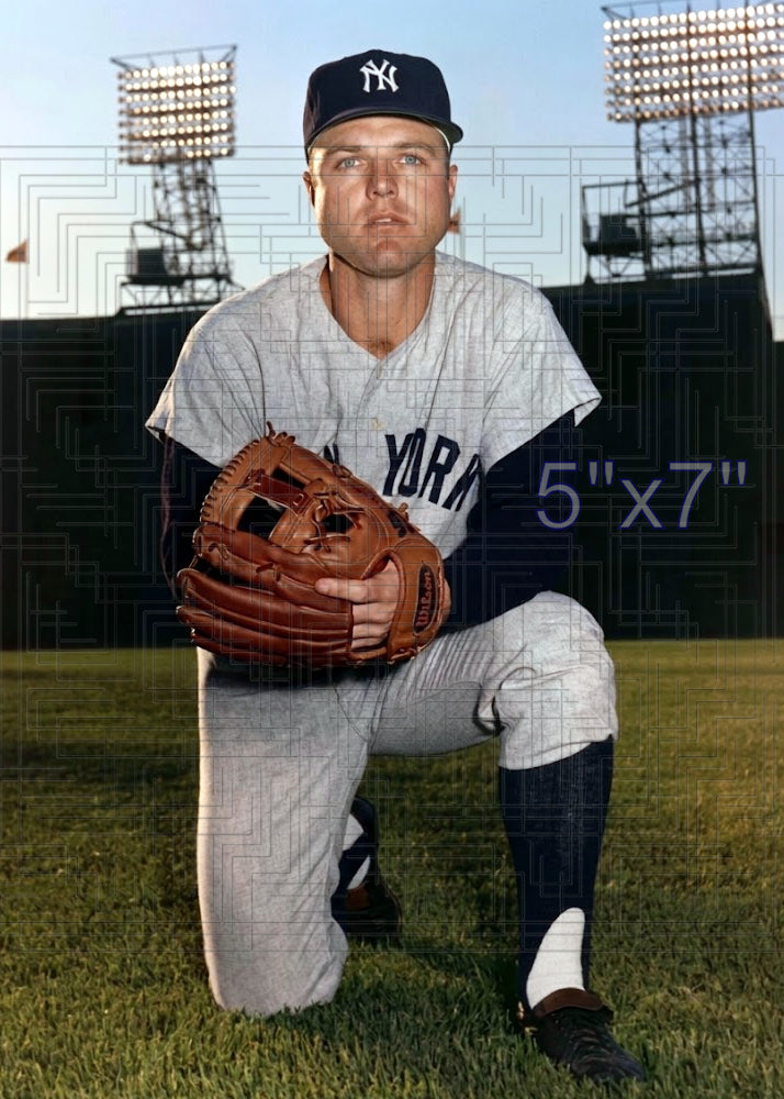 Dick Schofield - 1966 New York Yankees - choose a size & style