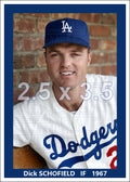 Dick Schofield - 1967 Los Angeles Dodgers - choose a size & style