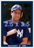 Dick Scott - 1988 New York Yankees spring training - choose a size & style