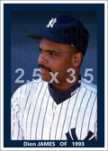 Dion James - 1993 New York Yankees - choose a size & style