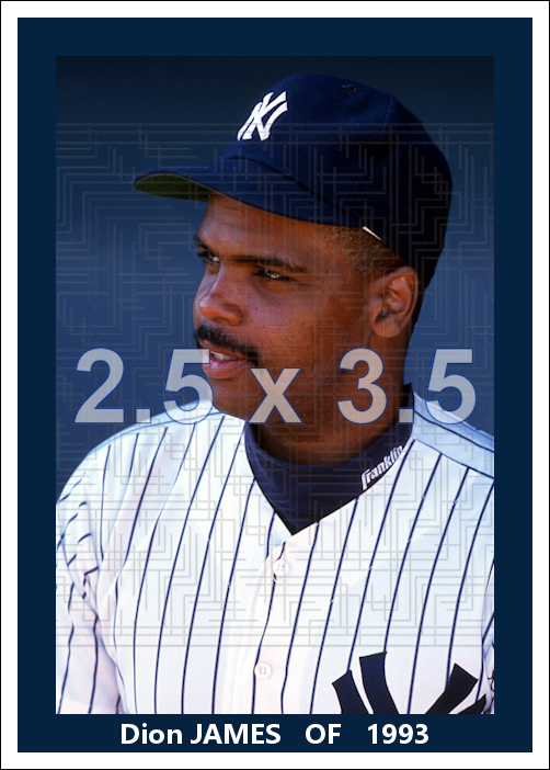 Dion James - 1993 New York Yankees - choose a size & style