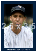 Dixie Walker - 1934 New York Yankees - choose a size & style