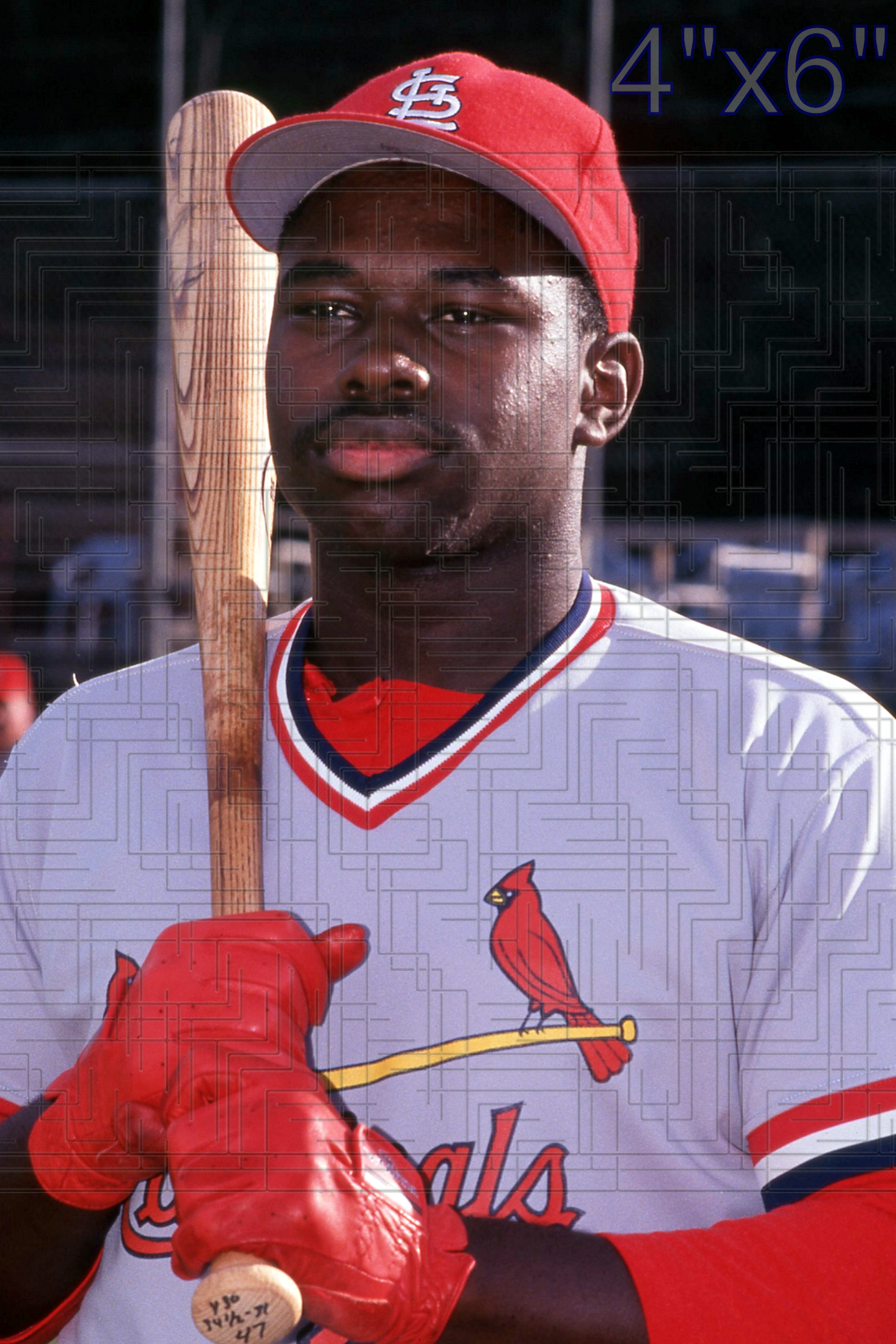 Dmitri Young - 1996 St. Louis Cardinals - choose a size & style