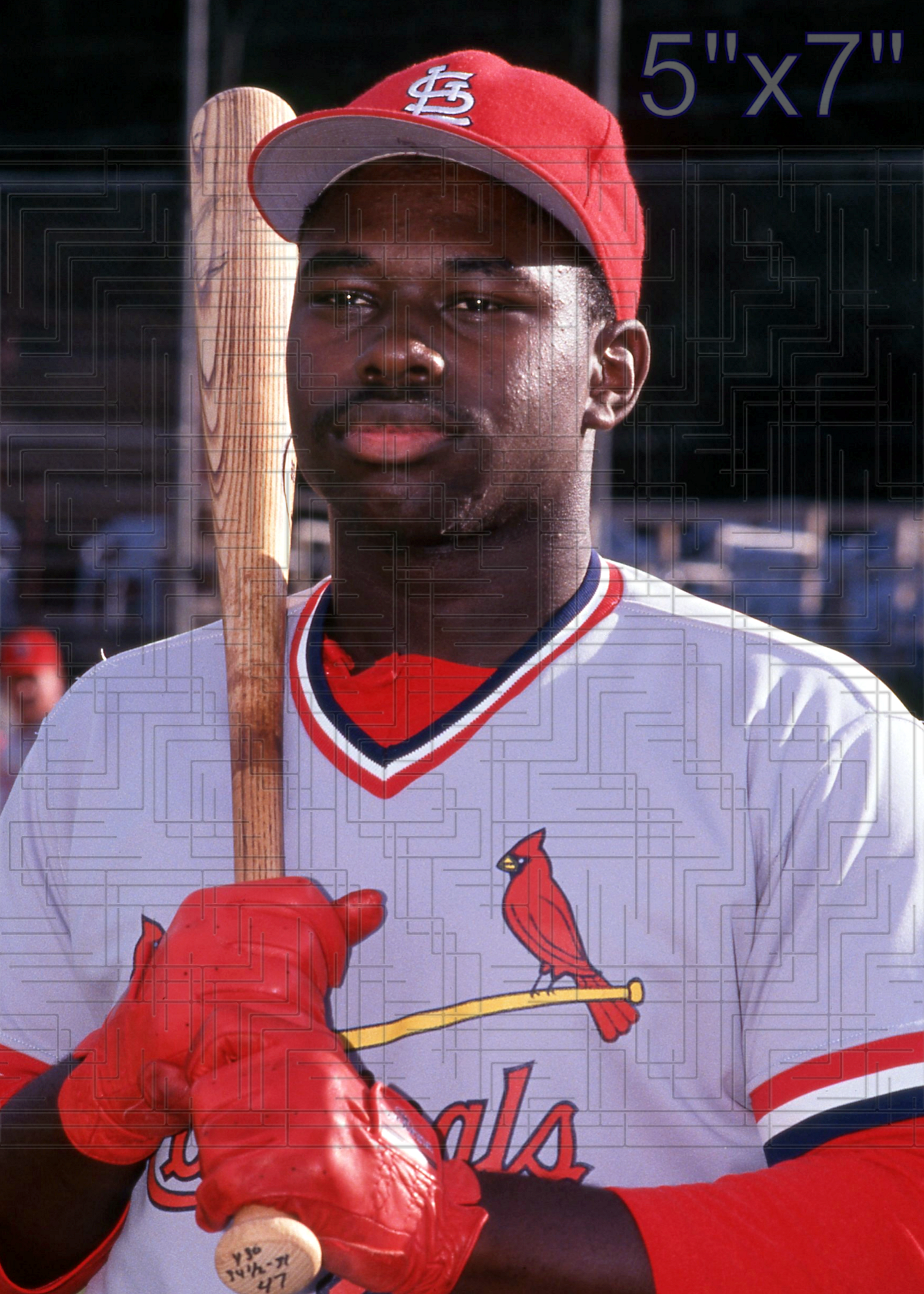 Dmitri Young - 1996 St. Louis Cardinals - choose a size & style