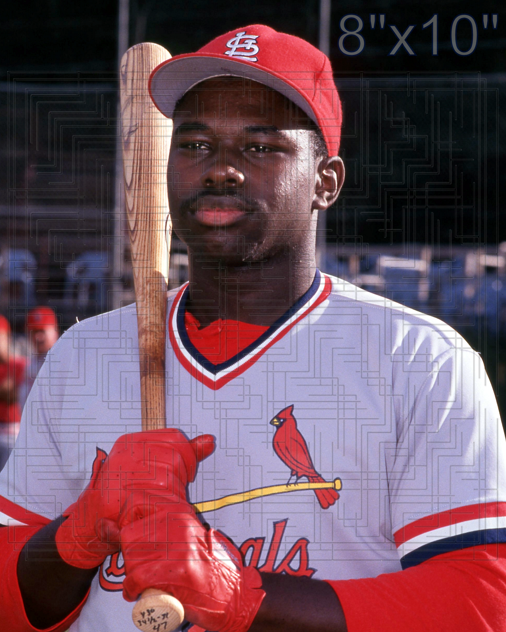 Dmitri Young - 1996 St. Louis Cardinals - choose a size & style