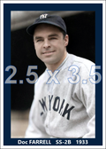 Doc Farrell - 1933 New York Yankees - choose a size & style