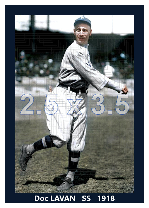 Doc Lavan - 1918 Washington Senators - choose a size & style