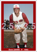 Dom Zanni - 1965 Cincinnati Reds - choose a size & style