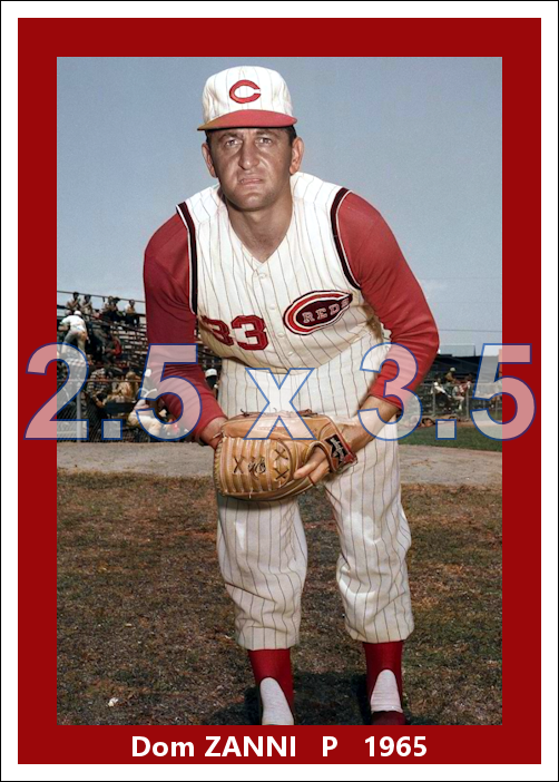 Dom Zanni - 1965 Cincinnati Reds - choose a size & style