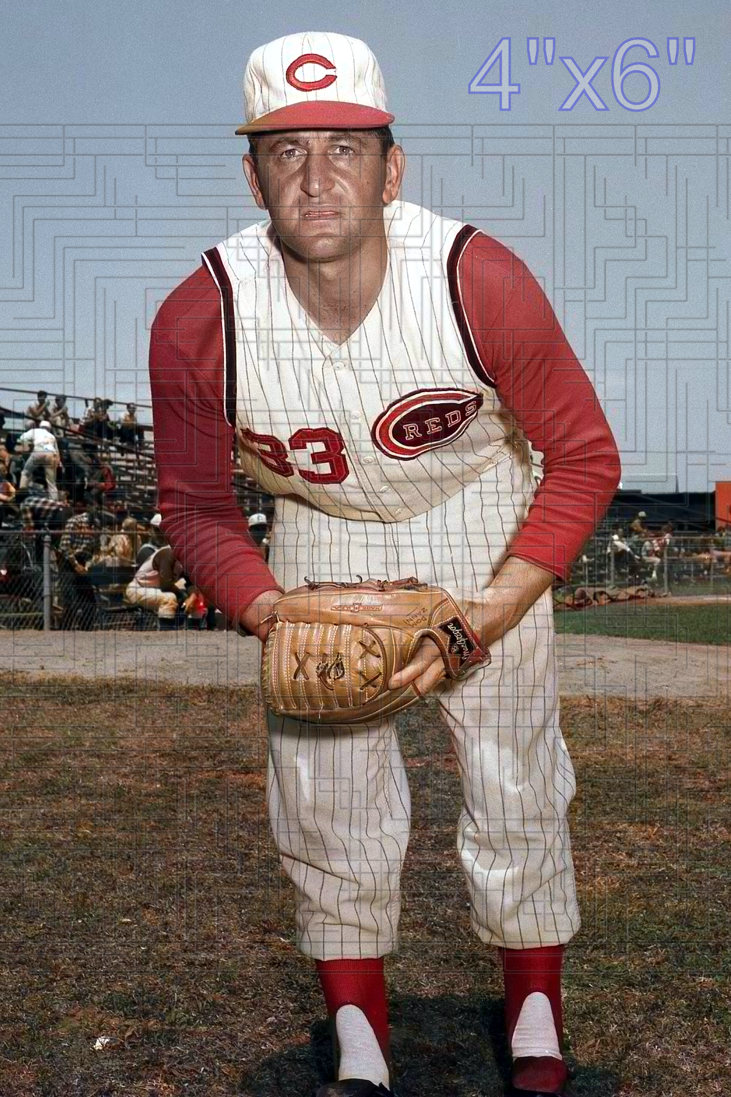 Dom Zanni - 1965 Cincinnati Reds - choose a size & style