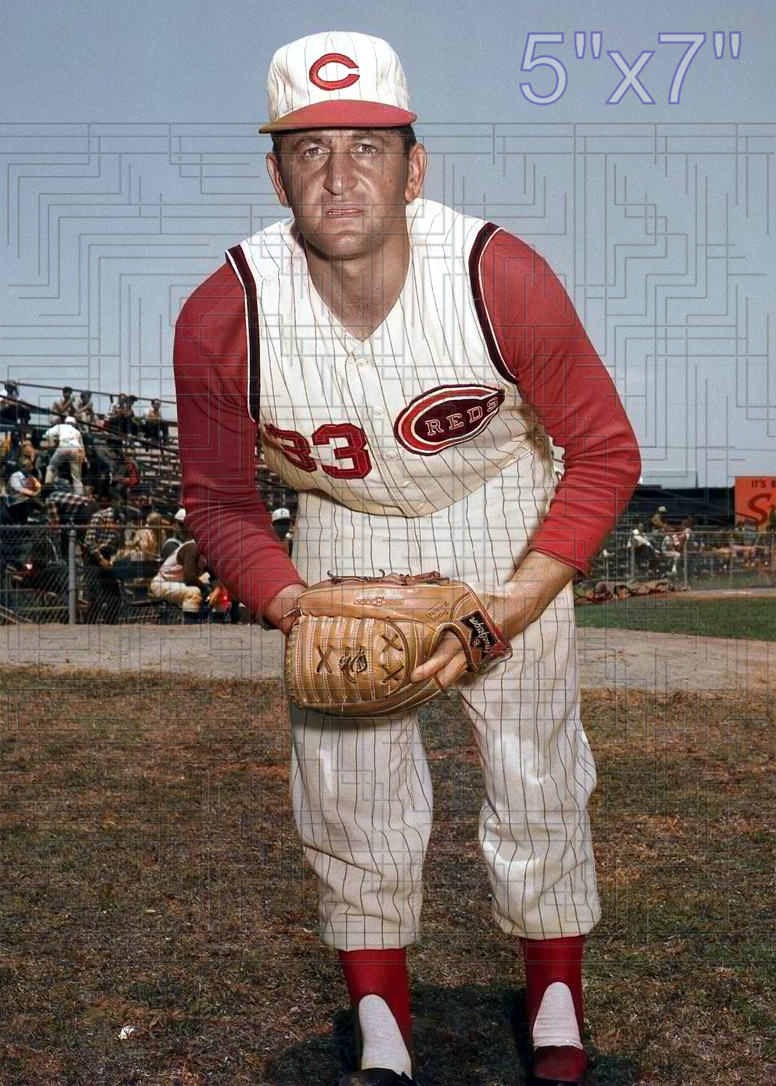 Dom Zanni - 1965 Cincinnati Reds - choose a size & style