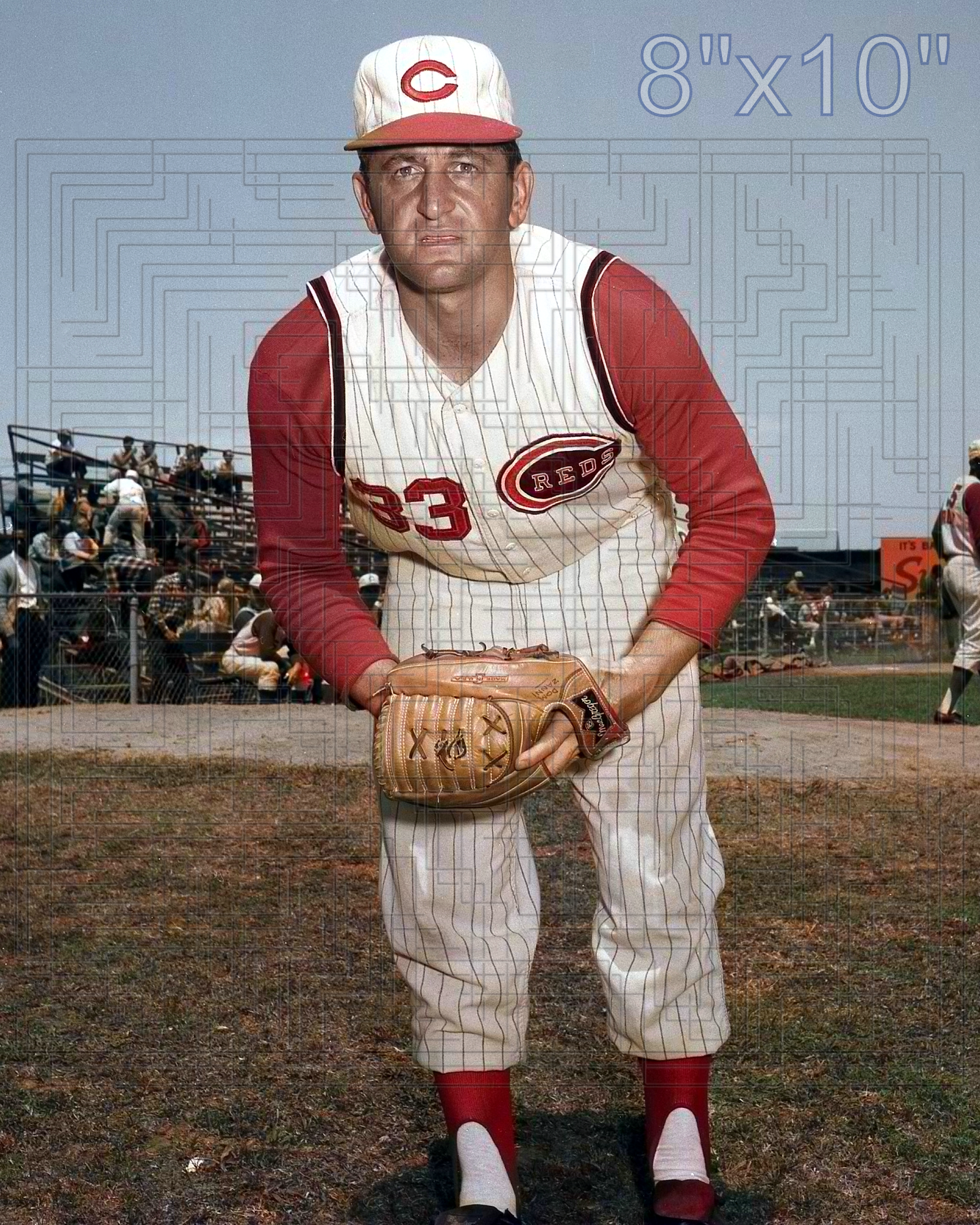 Dom Zanni - 1965 Cincinnati Reds - choose a size & style