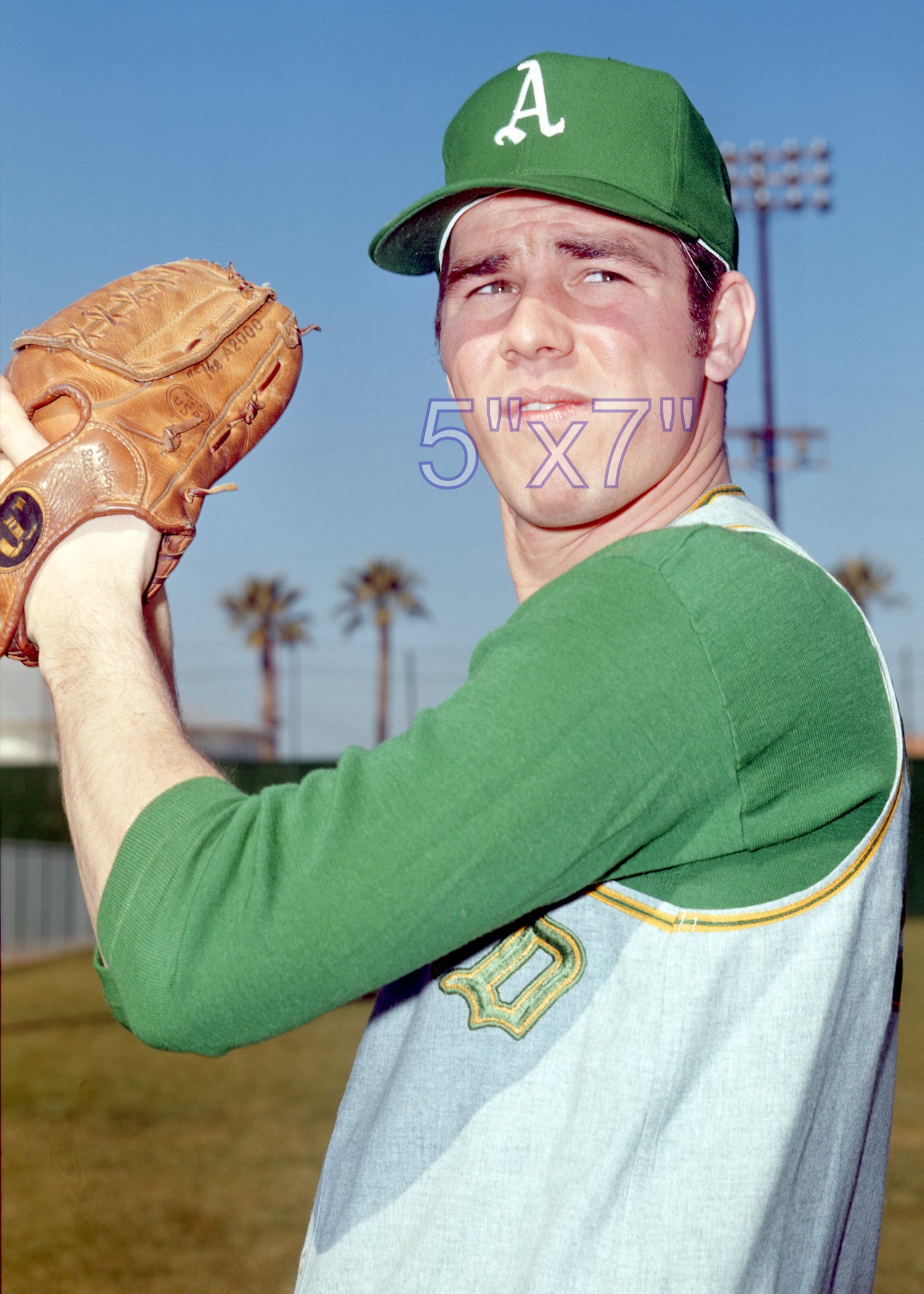 Don Buschhorn - 1969 Oakland Athletics - choose a size & style