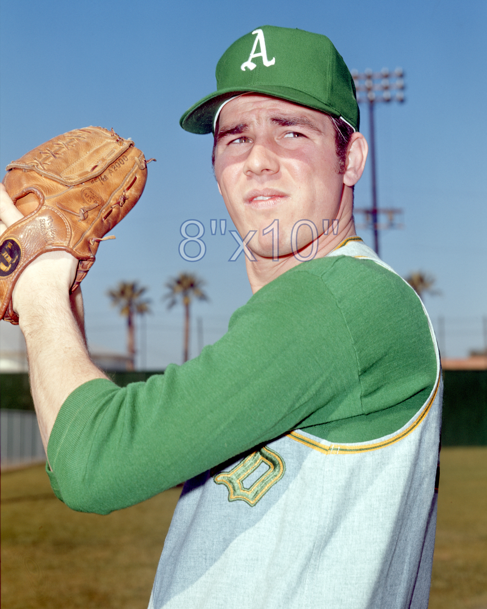 Don Buschhorn - 1969 Oakland Athletics - choose a size & style