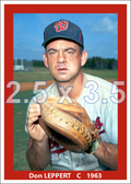 Don Leppert - 1963 Washington Senators - choose a size & style