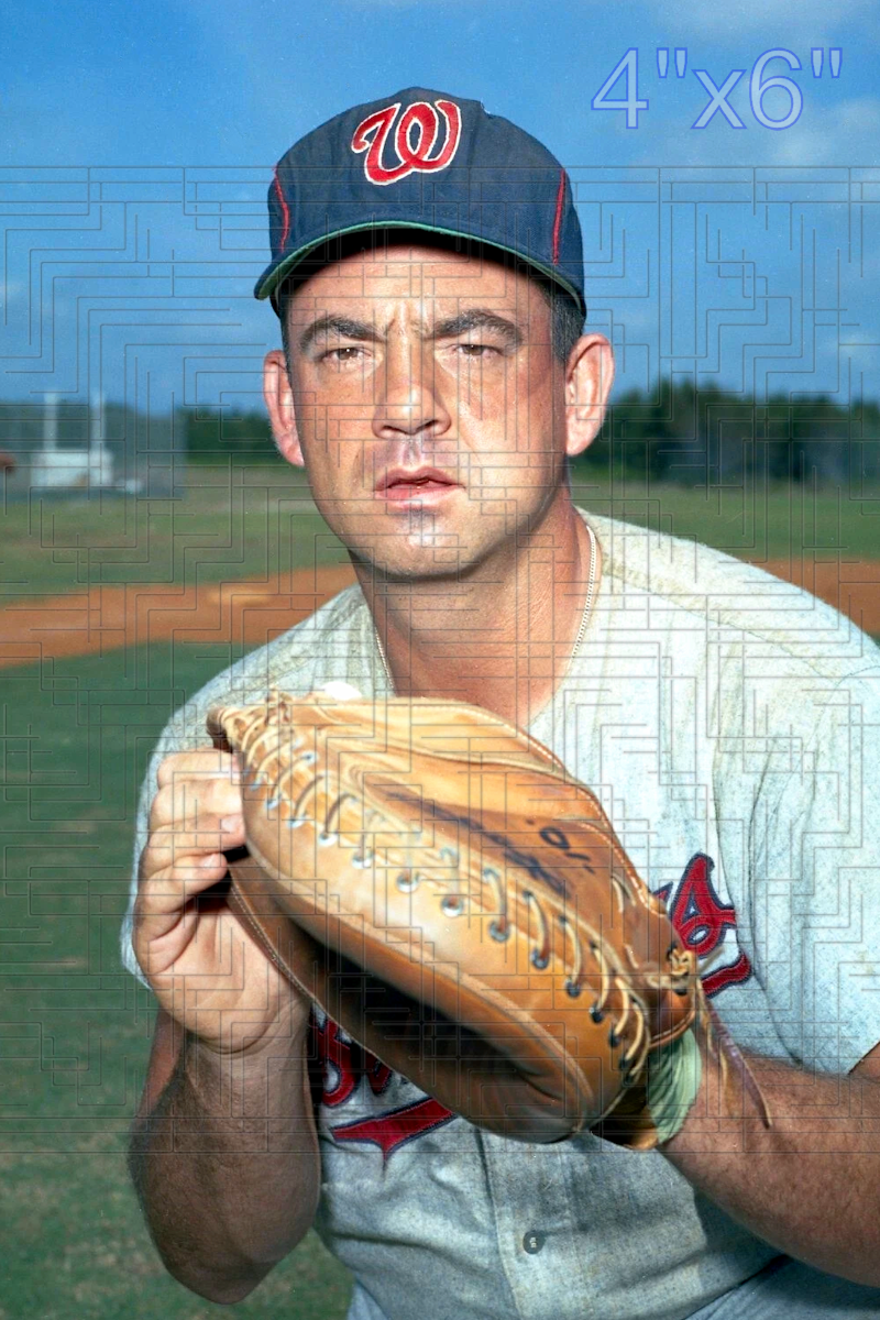Don Leppert - 1963 Washington Senators - choose a size & style