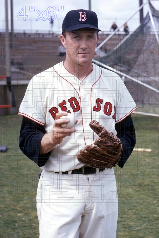Don McMahon - 1966 Boston Red Sox - choose a size & style