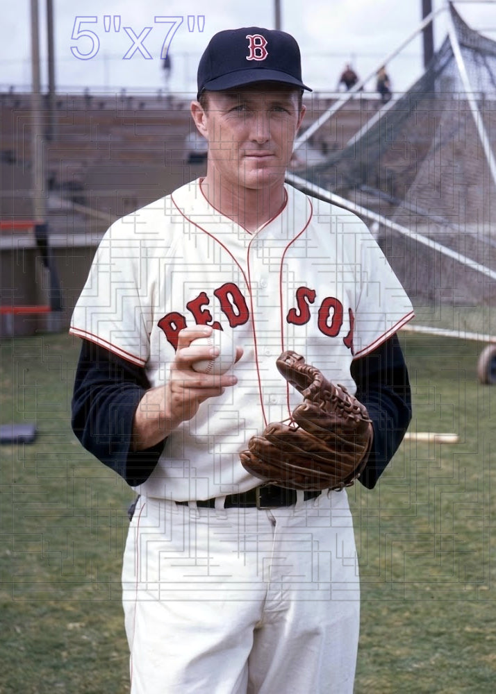Don McMahon - 1966 Boston Red Sox - choose a size & style