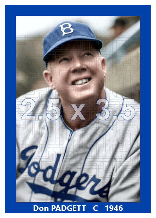 Don Padgett - 1946 Brooklyn Dodgers - choose a size & style